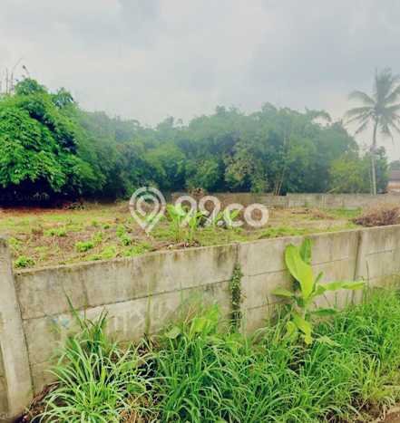 Tanah Dijual Lokasi Cisauk, Tangerang Luas 4800m2 Legalitas Aman Tanah Dijual Lokasi Cisauk, Tangerang Luas 4800m2 Legalitas Aman