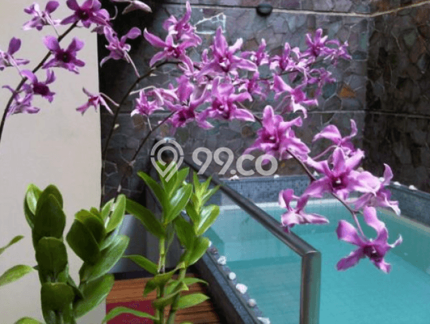 Jual Rumah Mewah Megah Dengan View Eksklusif di Pondok Indah, Jakarta Selatan Jual Rumah Mewah Megah Dengan View Eksklusif di Pondok Indah, Jakarta Selatan
