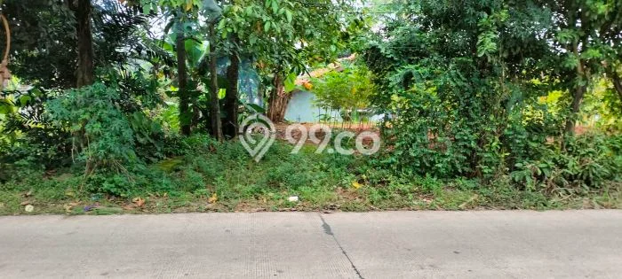 Tanah Kavling untuk Disewa di Cisauk Tangerang 500m2 Tanah Kavling untuk Disewa di Cisauk Tangerang 500m2