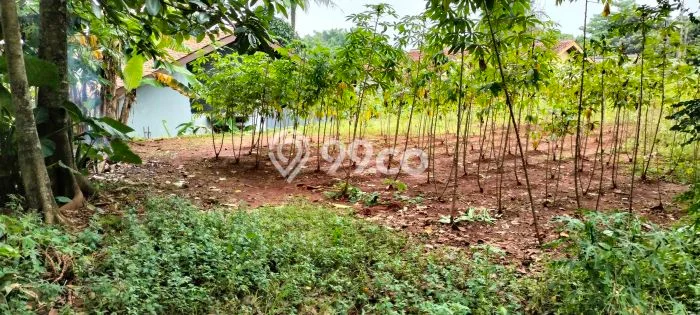 Tanah Kavling untuk Disewa di Cisauk Tangerang 500m2 Tanah Kavling untuk Disewa di Cisauk Tangerang 500m2