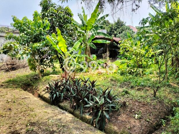 Rumah Modern Cantik 3 KT Bisa Langsung Pindah di Pamulang Rumah Modern Cantik 3 KT Bisa Langsung Pindah di Pamulang