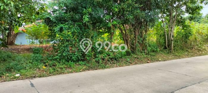 Tanah Kavling untuk Disewa di Cisauk Tangerang 500m2 Tanah Kavling untuk Disewa di Cisauk Tangerang 500m2