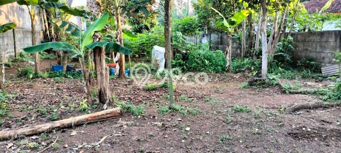 Kavling Tanah Dijual di Pagedangan Tangerang Spesifikasi 1338m2 Kavling Tanah Dijual di Pagedangan Tangerang Spesifikasi 1338m2