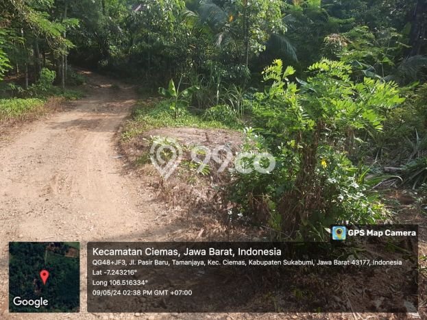 Tanah di Ciemas, Sukabumi Luas 2600m2 Dijual Segera Tanah di Ciemas, Sukabumi Luas 2600m2 Dijual Segera