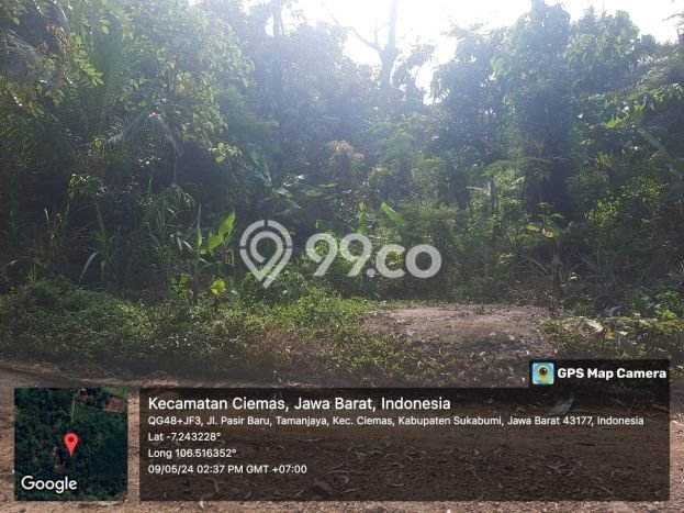 Kavling Tanah di Ciemas Dijual Luas 2600m2 Legalitas SHM Kavling Tanah di Ciemas Dijual Luas 2600m2 Legalitas SHM