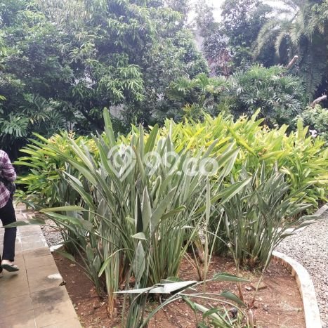 Tanah Dijual Area Strategis di Intercon Jakarta Barat 420m2 Tanah Dijual Area Strategis di Intercon Jakarta Barat 420m2