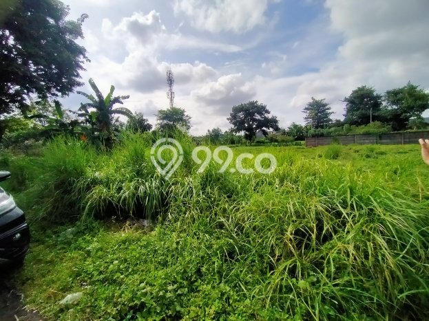 Tanah Kavling Dijual di Srengseng, Jakarta Barat dengan Luas Tanah 600m2 Tanah Kavling Dijual di Srengseng, Jakarta Barat dengan Luas Tanah 600m2