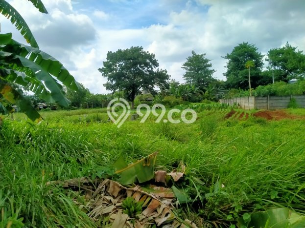 Tanah Kavling Dijual di Srengseng, Jakarta Barat dengan Luas Tanah 600m2 Tanah Kavling Dijual di Srengseng, Jakarta Barat dengan Luas Tanah 600m2