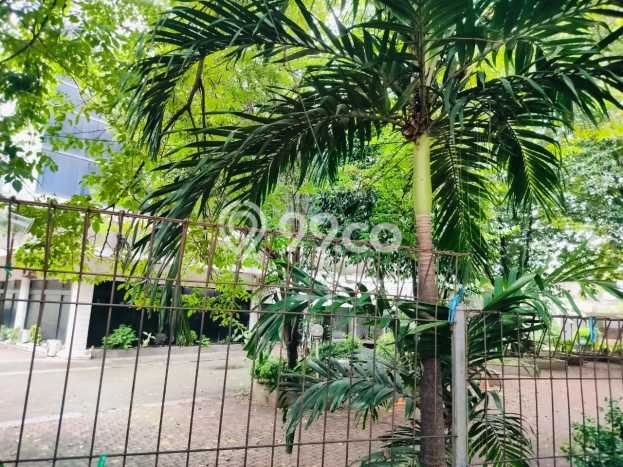 Ruko Bagus Dijual LB 2800m2 Lokasi Strategis Jakarta Selatan Area Cocok untuk Bisnis Ruko Bagus Dijual LB 2800m2 Lokasi Strategis Jakarta Selatan Area Cocok untuk Bisnis