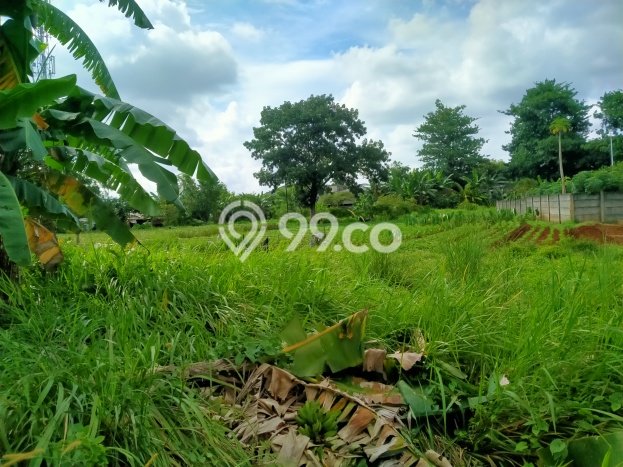 Tanah Kavling Dijual di Srengseng, Jakarta Barat dengan Luas Tanah 600m2 Tanah Kavling Dijual di Srengseng, Jakarta Barat dengan Luas Tanah 600m2