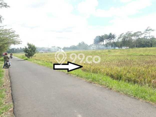 Jarang Ada! Tanah di Pakisaji Punya Luas 11026m2 SHM Jarang Ada! Tanah di Pakisaji Punya Luas 11026m2 SHM