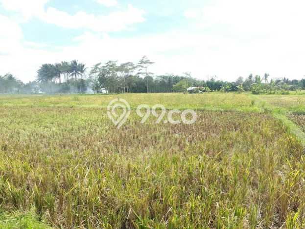 Jarang Ada! Tanah di Pakisaji Punya Luas 11026m2 SHM Jarang Ada! Tanah di Pakisaji Punya Luas 11026m2 SHM