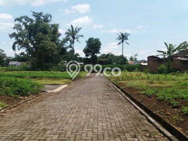 Dijual Tanah di Pakis Malang Luas 66m2 SHM Dijual Tanah di Pakis Malang Luas 66m2 SHM