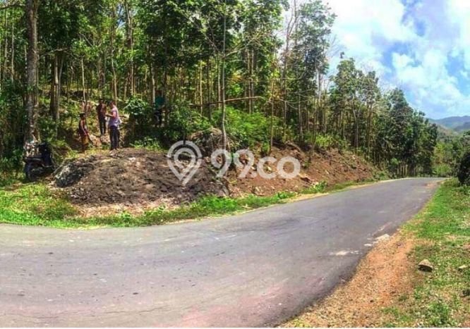 Tanah Dijual Area Strategis di Sekotong Tengah Lombok Barat 370000m2 Tanah Dijual Area Strategis di Sekotong Tengah Lombok Barat 370000m2