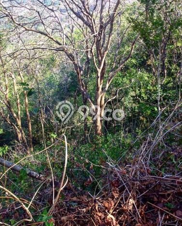 Tanah Dijual Area Strategis di Sekotong Tengah Lombok Barat 370000m2 Tanah Dijual Area Strategis di Sekotong Tengah Lombok Barat 370000m2