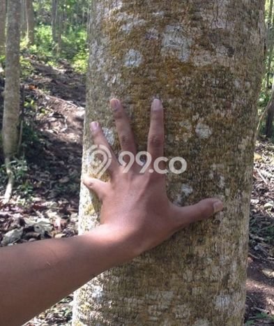 Tanah Dijual Area Strategis di Sekotong Tengah Lombok Barat 370000m2 Tanah Dijual Area Strategis di Sekotong Tengah Lombok Barat 370000m2