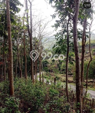Tanah Dijual Area Strategis di Sekotong Tengah Lombok Barat 370000m2 Tanah Dijual Area Strategis di Sekotong Tengah Lombok Barat 370000m2