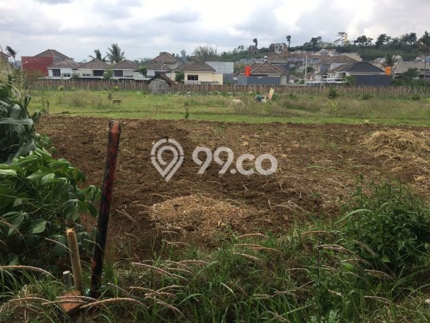 Kavling Tanah Dijual di Dau Malang Spesifikasi 171m2 Kavling Tanah Dijual di Dau Malang Spesifikasi 171m2