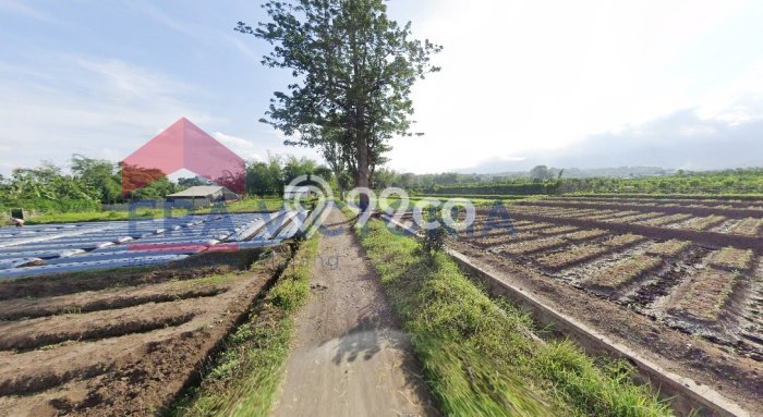 Lahan Investasi Lokasi Batu Batu SHM Lahan Investasi Lokasi Batu Batu SHM