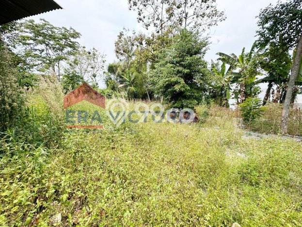 Rumah Mewah Siap Huni LT 1161m2 di Tumpang, Malang Rumah Mewah Siap Huni LT 1161m2 di Tumpang, Malang