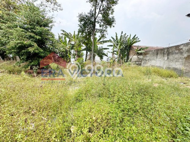 Rumah Mewah Siap Huni LT 1161m2 di Tumpang, Malang Rumah Mewah Siap Huni LT 1161m2 di Tumpang, Malang