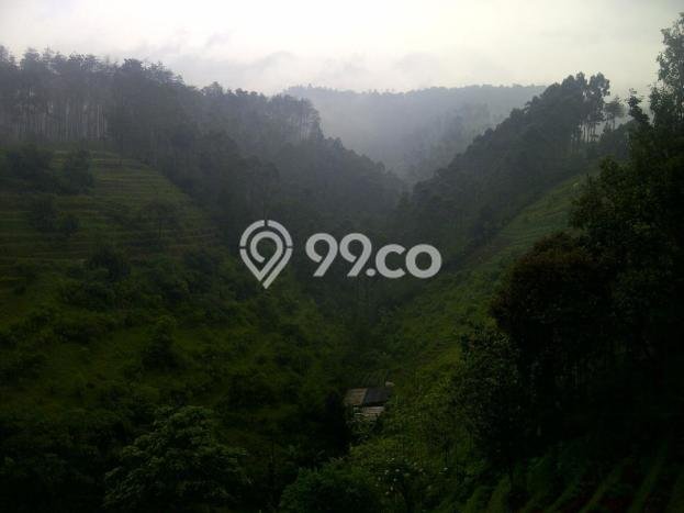 Lahan Investasi Lokasi Lembang Bandung Barat - Lahan Investasi Lokasi Lembang Bandung Barat -