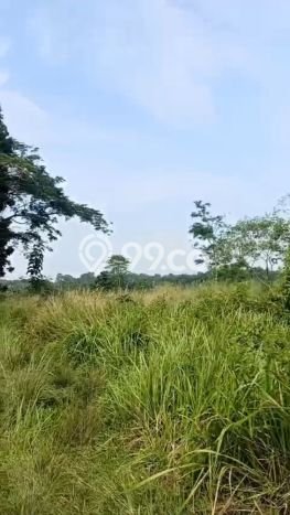Lahan untuk Dijual Lokasi Serang, Serang Luas 2147m2 SHM Lahan untuk Dijual Lokasi Serang, Serang Luas 2147m2 SHM
