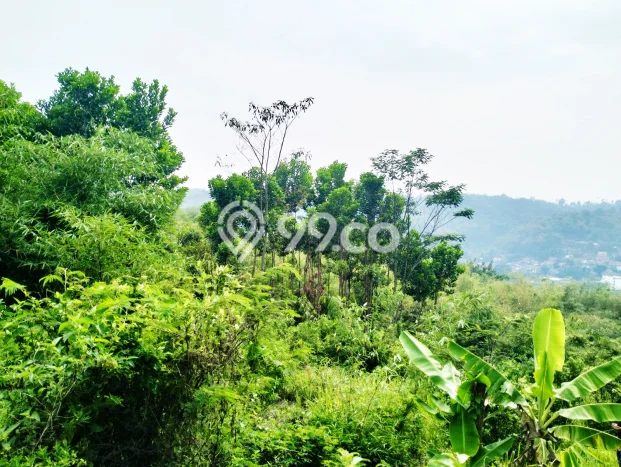 Tanah Kosong Dijual di Bandung dengan Area 19560m2 Tanah Kosong Dijual di Bandung dengan Area 19560m2