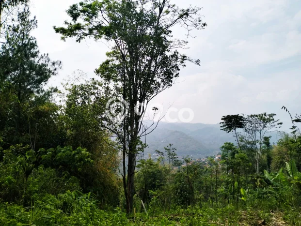 Tanah Kosong Dijual di Bandung dengan Area 19560m2 Tanah Kosong Dijual di Bandung dengan Area 19560m2