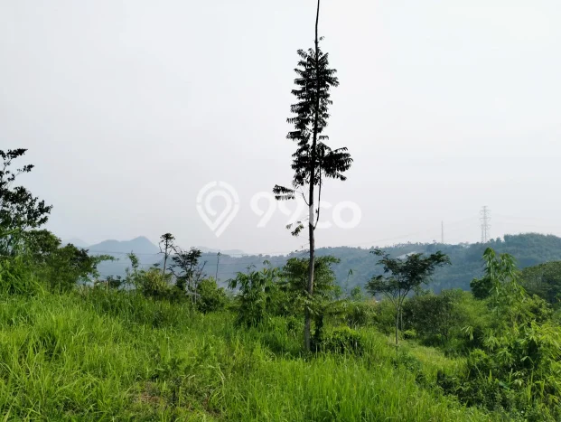 Tanah Kosong Dijual di Bandung dengan Area 19560m2 Tanah Kosong Dijual di Bandung dengan Area 19560m2