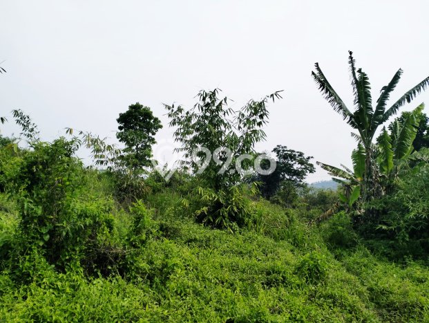 Tanah Kosong Dijual di Bandung dengan Area 19560m2 Tanah Kosong Dijual di Bandung dengan Area 19560m2
