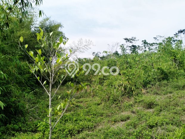 Tanah Kosong Dijual di Bandung dengan Area 19560m2 Tanah Kosong Dijual di Bandung dengan Area 19560m2