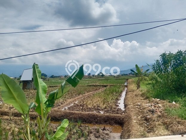 Tanah di Soreang, Bandung Luas 6800m2 Dijual Segera Tanah di Soreang, Bandung Luas 6800m2 Dijual Segera