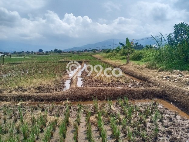 Tanah di Soreang, Bandung Luas 6800m2 Dijual Segera Tanah di Soreang, Bandung Luas 6800m2 Dijual Segera