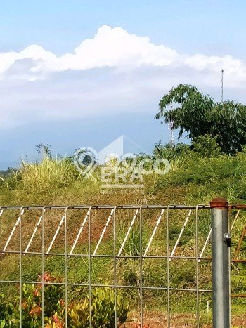 Rumah Luas Asri 3 KT Siap Huni di Rancamaya Bogor Rumah Luas Asri 3 KT Siap Huni di Rancamaya Bogor