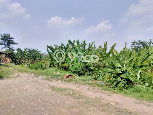 Tanah Dijual Area Strategis di Cibubur Jakarta Timur 9756m2 Tanah Dijual Area Strategis di Cibubur Jakarta Timur 9756m2