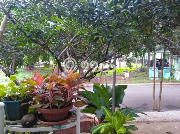 Rumah Elit Modern Tanpa Renovasi di Kota Wisata Bogor Rumah Elit Modern Tanpa Renovasi di Kota Wisata Bogor