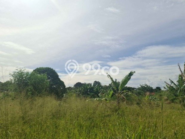 Tanah di Ciputat, Tangerang Selatan Luas 2804m2 Dijual Segera Tanah di Ciputat, Tangerang Selatan Luas 2804m2 Dijual Segera
