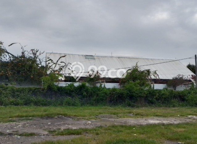 Untuk Dijual Tanah 7350m2 di canggu, Badung Untuk Dijual Tanah 7350m2 di canggu, Badung