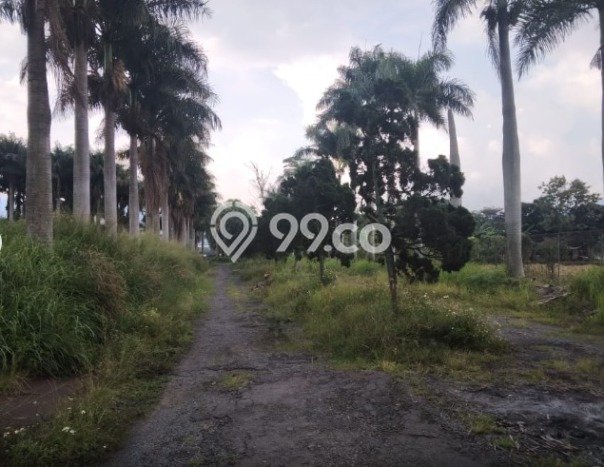 Pabrik Dijual di Cimanggung Sumedang dengan Luas Bangunan 48306m2 Pabrik Dijual di Cimanggung Sumedang dengan Luas Bangunan 48306m2