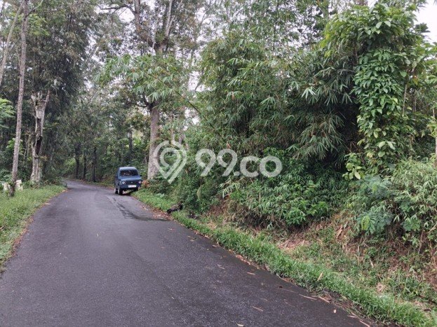 Tanah Kosong Dijual di Temanggung dengan Area 8853m2 Tanah Kosong Dijual di Temanggung dengan Area 8853m2