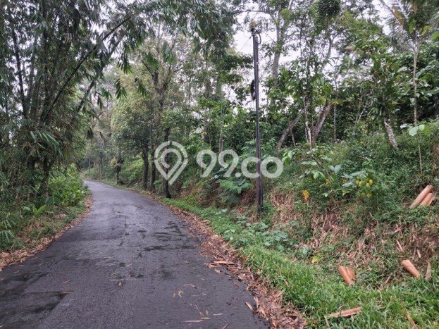 Tanah Kosong Dijual di Temanggung dengan Area 8853m2 Tanah Kosong Dijual di Temanggung dengan Area 8853m2