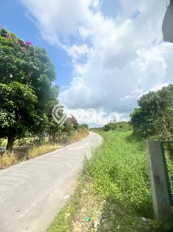 Tanah Dijual di Pekanbaru Seluas 1784m2 Strategis Tanah Dijual di Pekanbaru Seluas 1784m2 Strategis