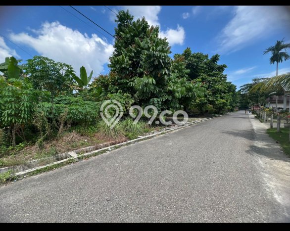 Untuk Dijual Tanah di Pekanbaru Kota Pekanbaru Luas 3000m2 SHM Untuk Dijual Tanah di Pekanbaru Kota Pekanbaru Luas 3000m2 SHM