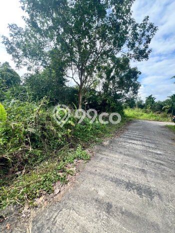 Tanah Kavling untuk Dijual di Tenayan Raya Pekanbaru 1580m2 Tanah Kavling untuk Dijual di Tenayan Raya Pekanbaru 1580m2
