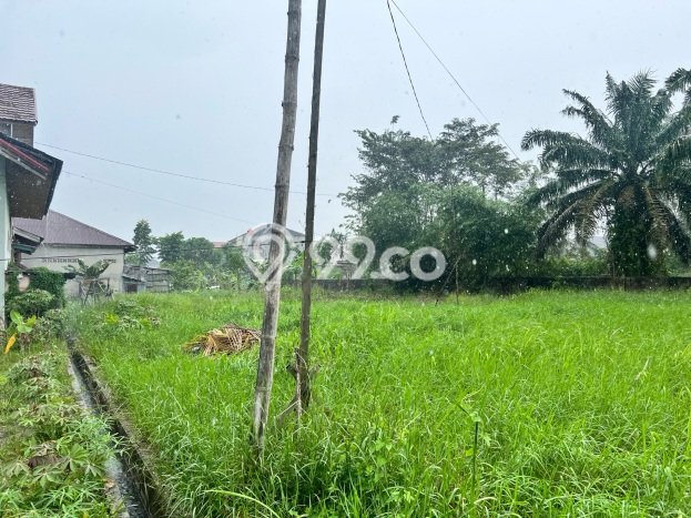 Lahan Investasi Lokasi Pekanbaru Kota Pekanbaru SHM Lahan Investasi Lokasi Pekanbaru Kota Pekanbaru SHM