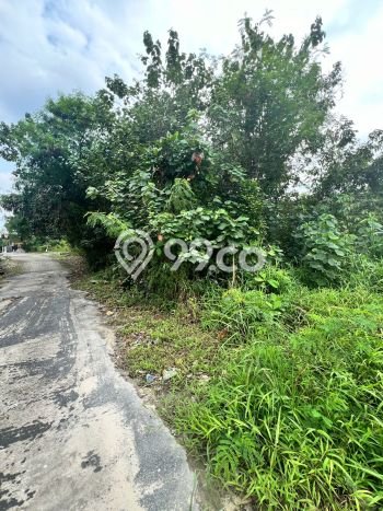 Lahan Strategis di Tampan Dijual dengan Luas 300m2 Lahan Strategis di Tampan Dijual dengan Luas 300m2