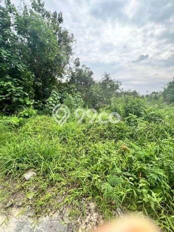 Lahan Strategis di Tampan Dijual dengan Luas 300m2 Lahan Strategis di Tampan Dijual dengan Luas 300m2