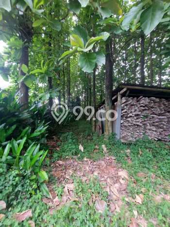 Gudang Usaha Dijual di Tangerang Tangerang LT 5730m2 & LB 1000m2 Gudang Usaha Dijual di Tangerang Tangerang LT 5730m2 & LB 1000m2