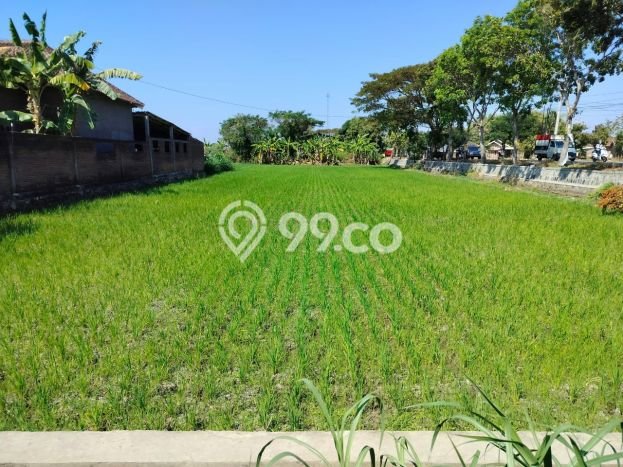Tanah di Grogol, Solo Luas 1585m2 Dijual Segera Tanah di Grogol, Solo Luas 1585m2 Dijual Segera
